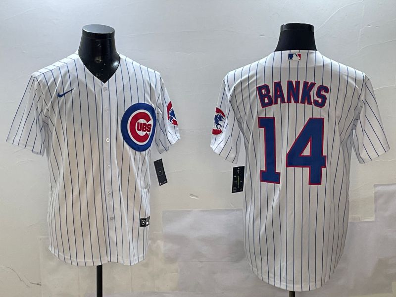 Men Chicago Cubs #14 Banks White Stripe Game 2025 Nike MLB Jersey style 1->chicago cubs->MLB Jersey